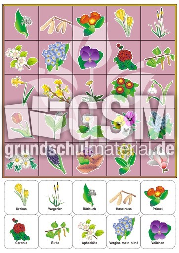 BG_Blumen_Plan_lila.pdf